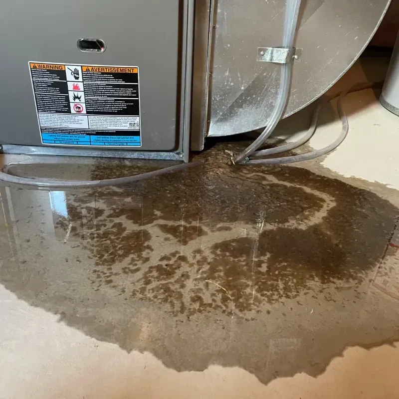 Appliance Leak Cleanup in Tilton, IL